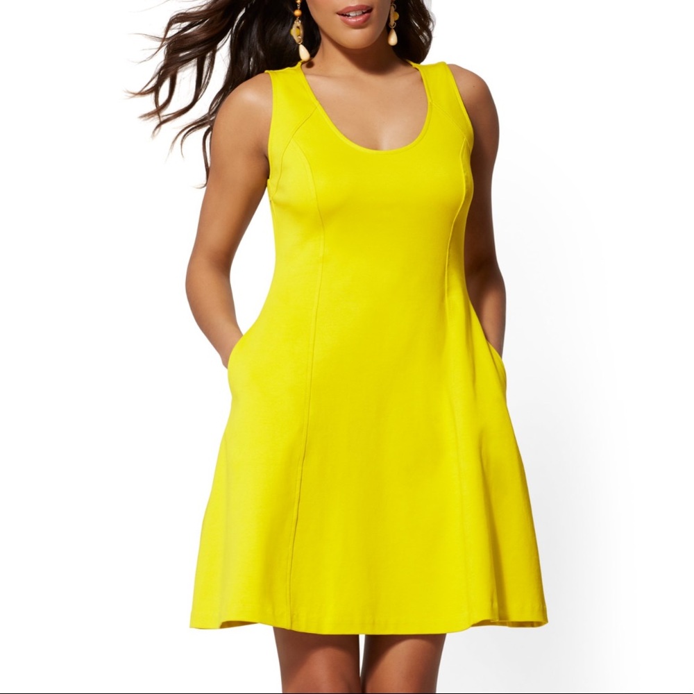 New York & Company seamed cotton fit & flare dress
